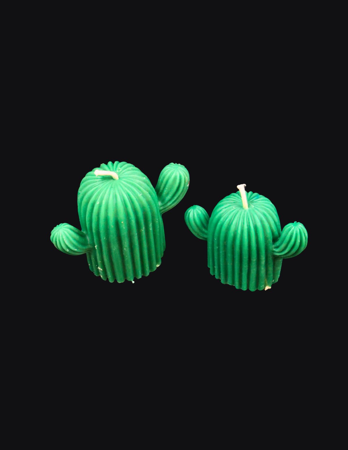 Desert Bloom Cactus Candle
