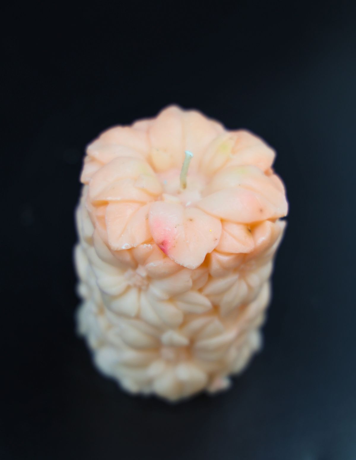 Blooming Peach Blossom