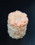 Blooming Peach Blossom