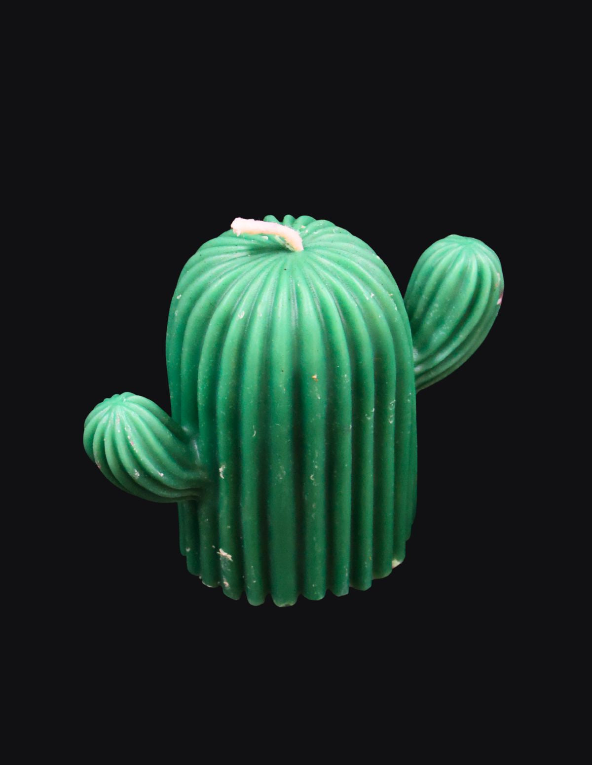 Desert Bloom Cactus Candle