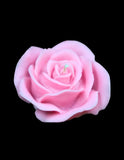 Blush Rose Luxe Candle