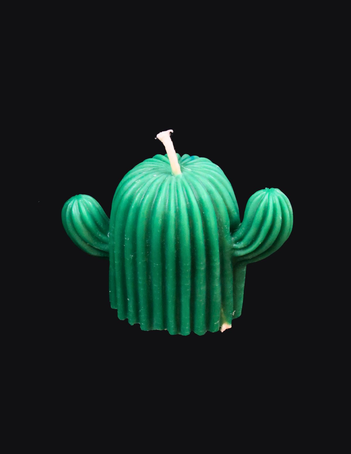 Desert Bloom Cactus Candle
