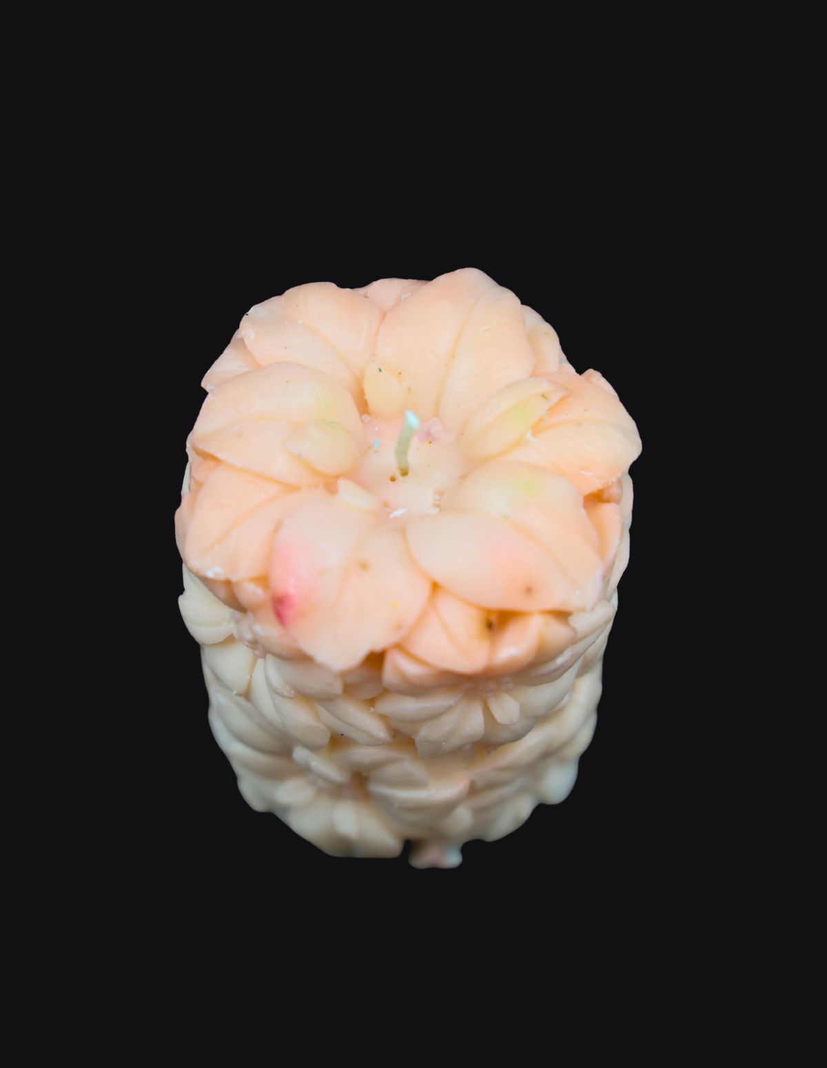 Blooming Peach Blossom