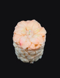 Blooming Peach Blossom