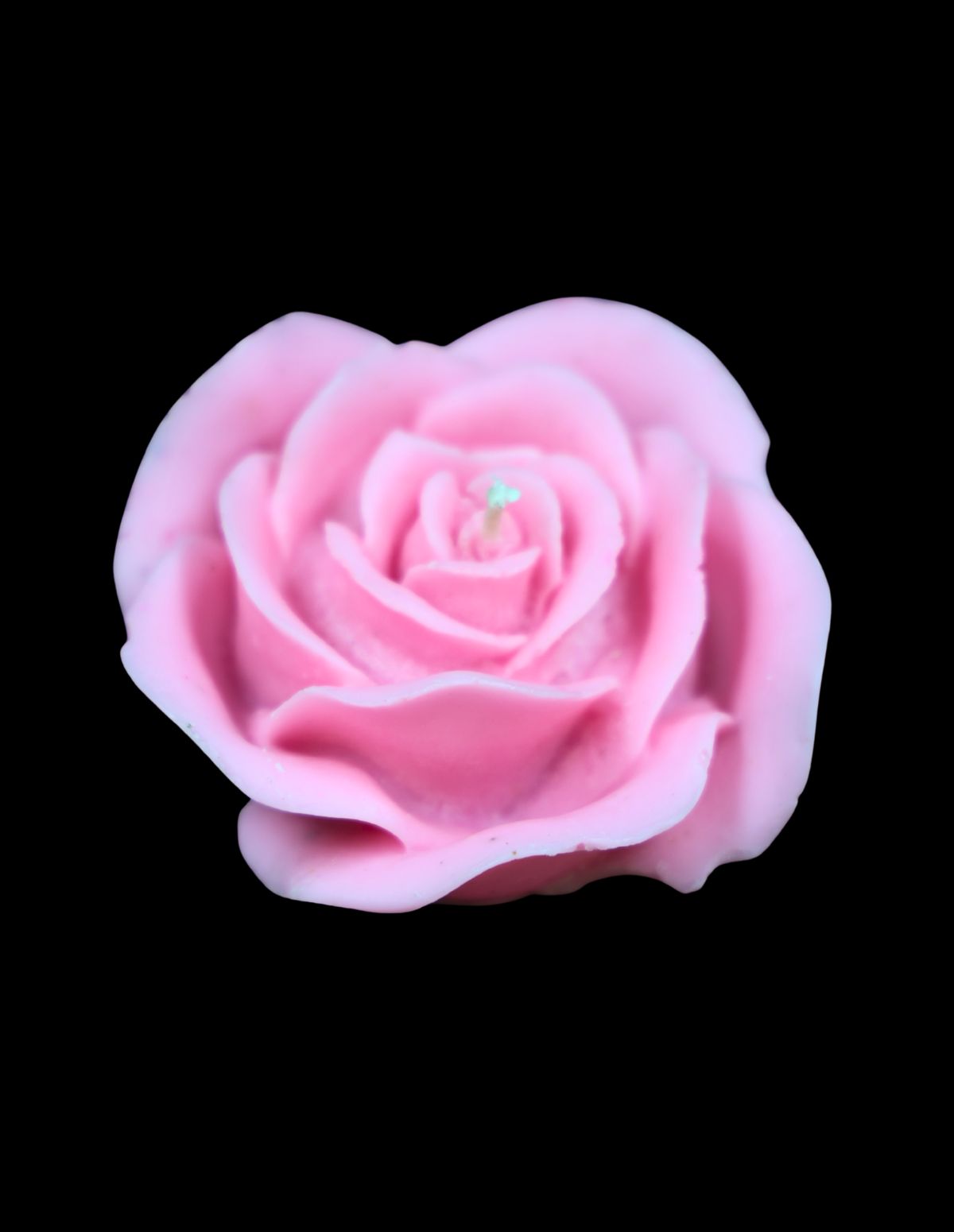 Blush Rose Luxe Candle