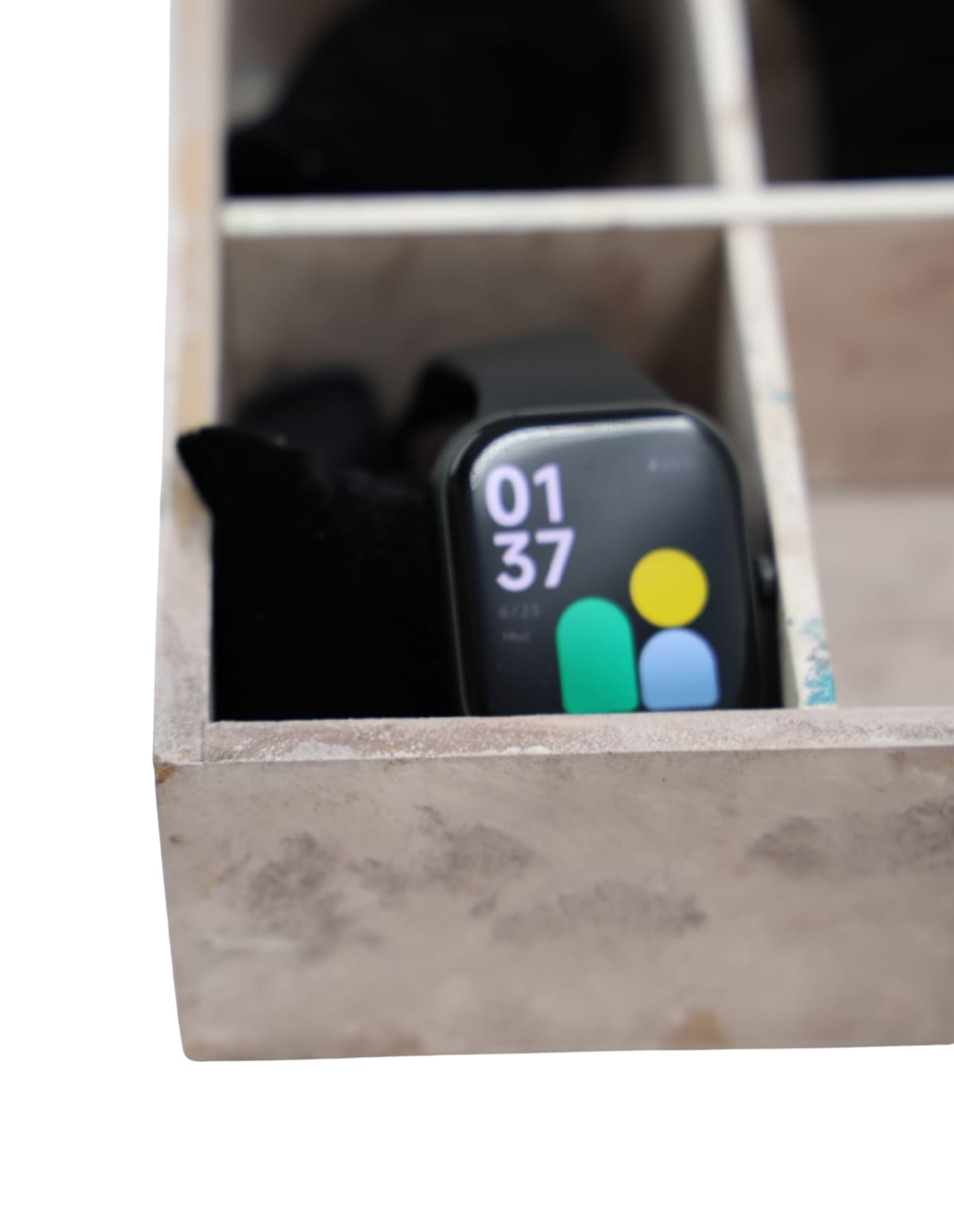 The Clockwork Mind Watch Case